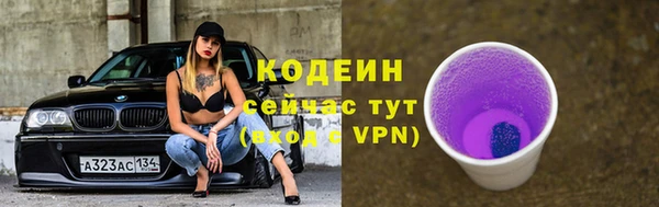 тгк Лагань