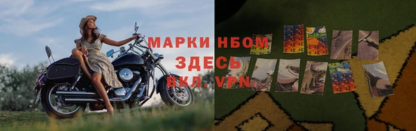 ECSTASY Ладушкин