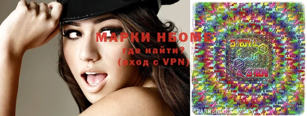ECSTASY Ладушкин