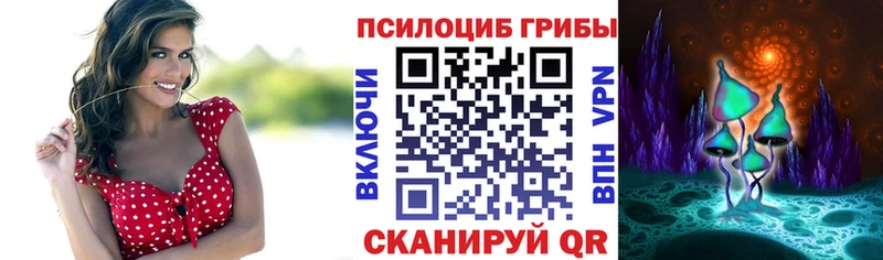 Псилоцибиновые грибы Psilocybe  ОМГ ОМГ вход  Старая Купавна 