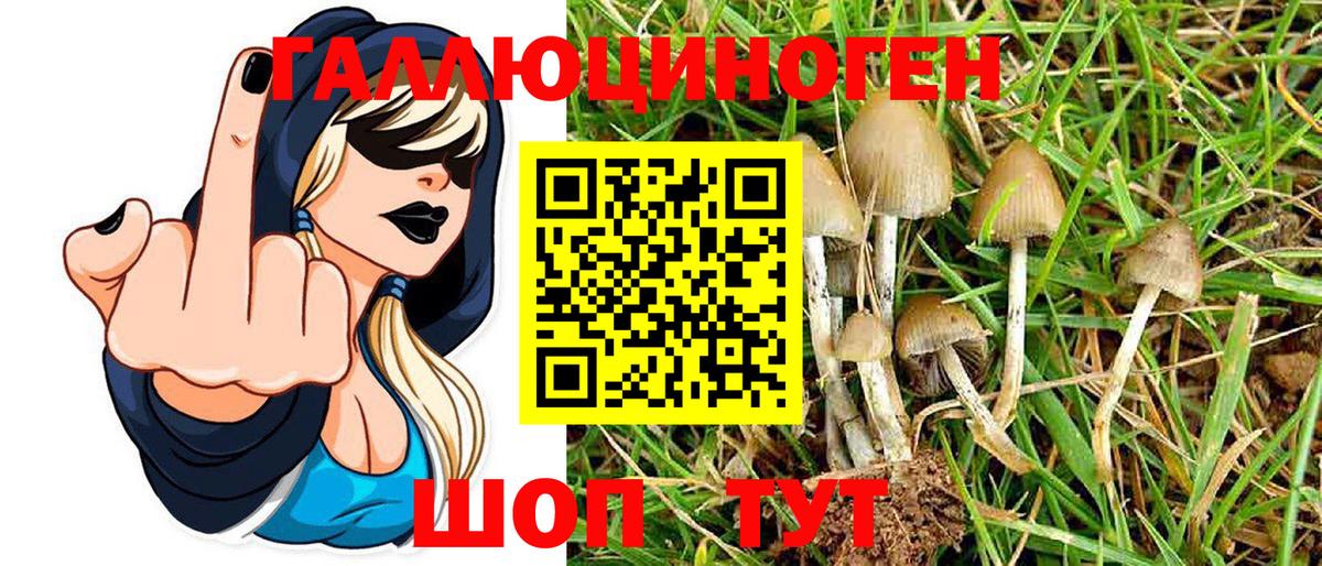 Галлюциногенные грибы Psilocybe Старая Купавна